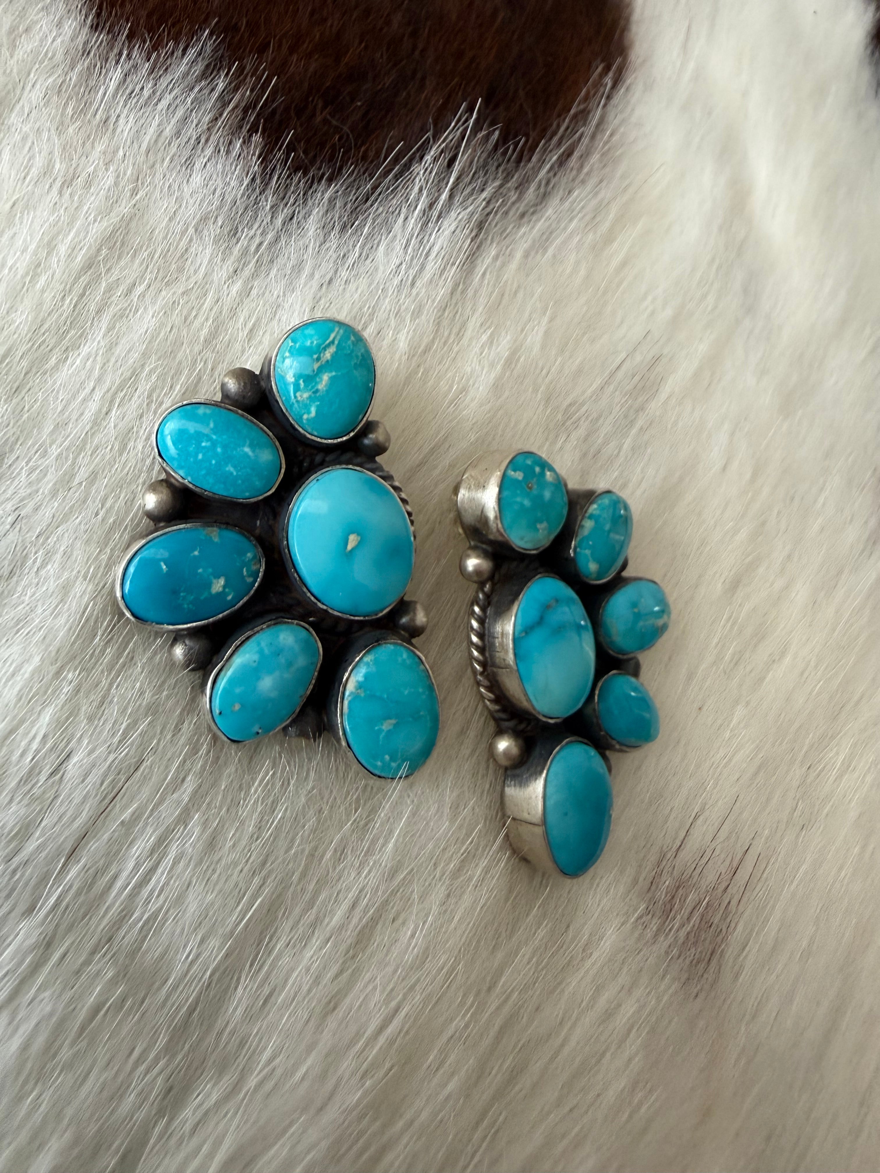 Blue ridge Turquoise clusters