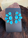 Blue ridge Turquoise clusters